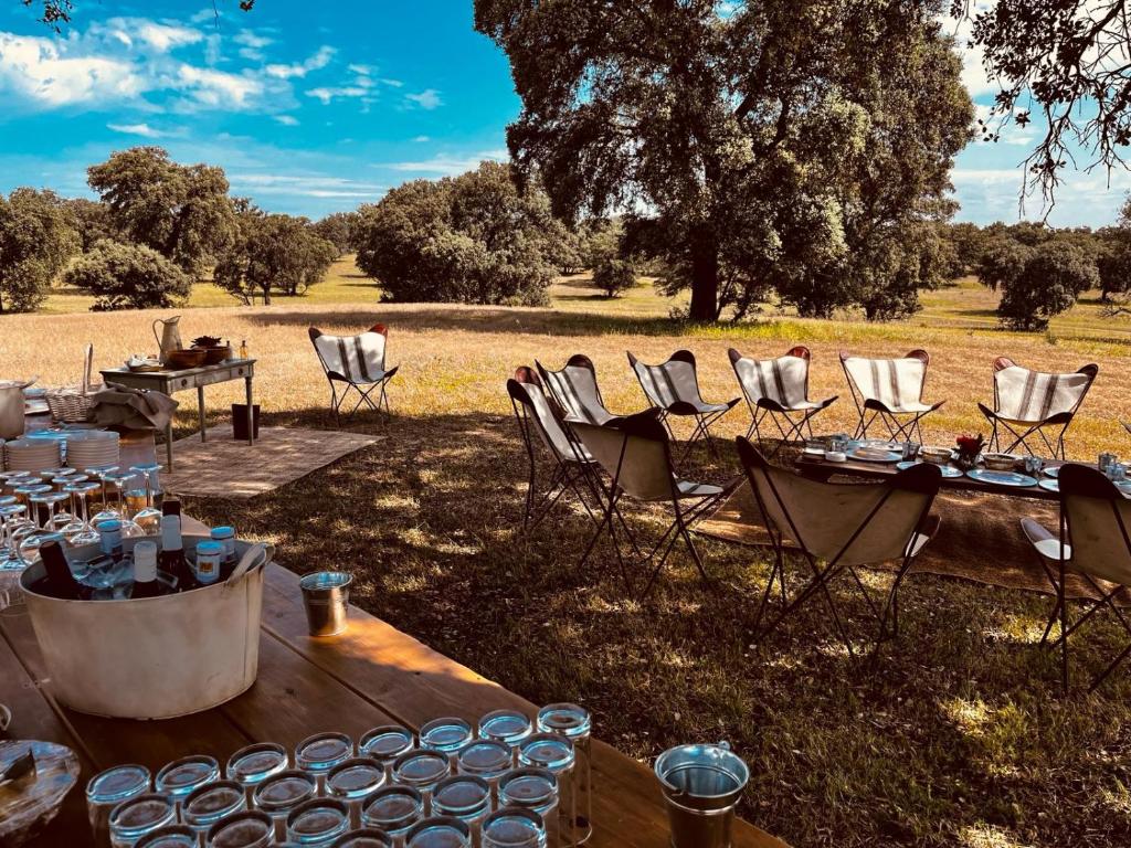 un grupo de mesas y sillas en un campo en Hotel Valdepalacios Gourmand 5* GL, en Torrico