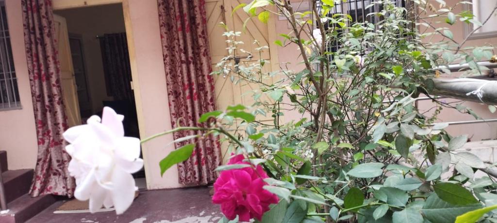 Zahrada ubytování Divine view - 1 bhk AC - Swarna Bhavan