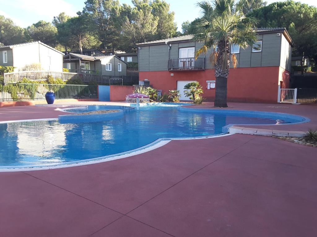 a swimming pool with a palm tree and a house at AGDE chalet sénérité piscine clim 6 PL in Agde