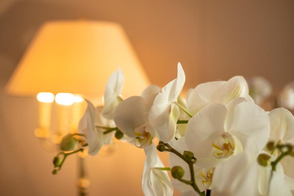 Zdjęcie z galerii obiektu Hotel Haus Arenberg w mieście Salzburg