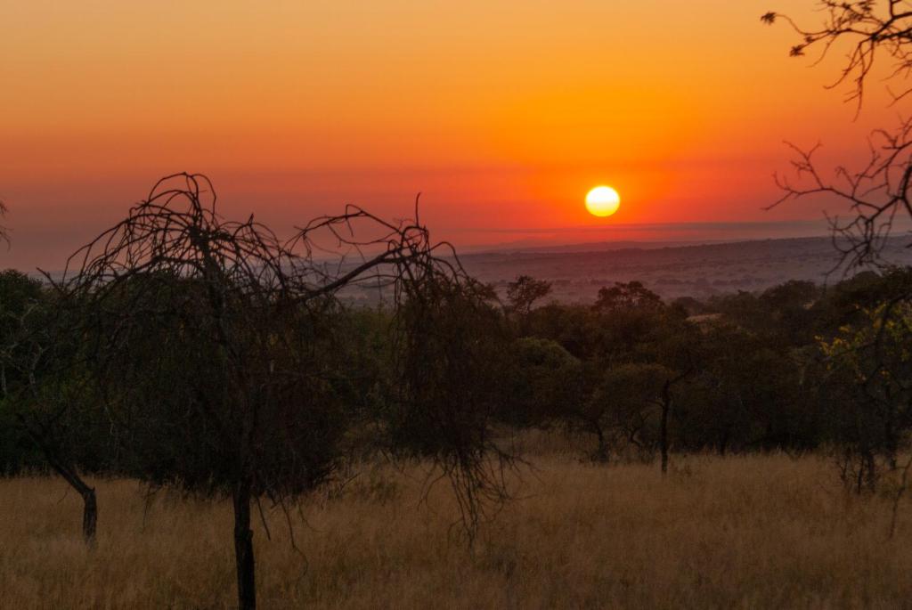 a sunset in the savanna with a field and trees at Casa de la Presa 2 in Polokwane