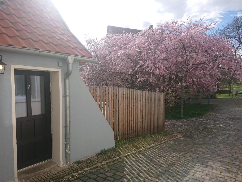 a house with a flowering tree next to a fence at Ferienhaus Aschersleben in Aschersleben