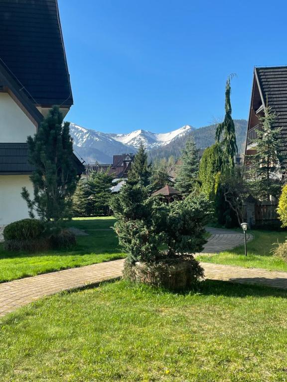 Výhľad na hory alebo výhľad na hory priamo z apartmánu