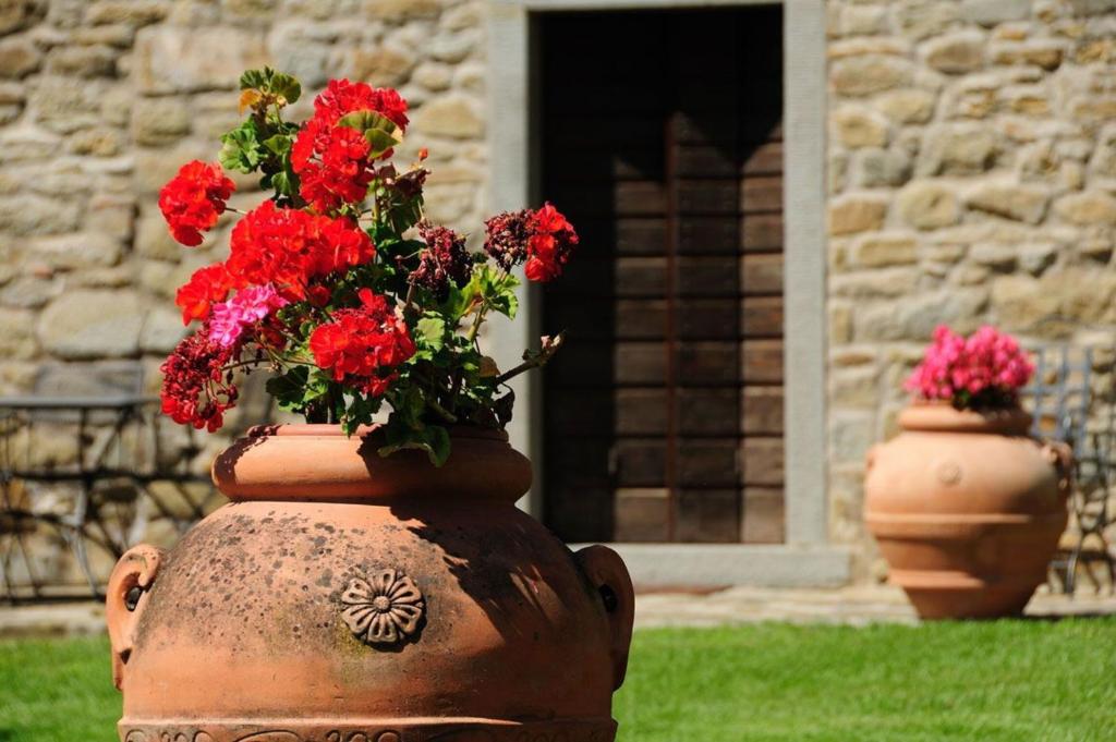 Vonkajšia záhrada v ubytovaní Casa Maria Nuova
