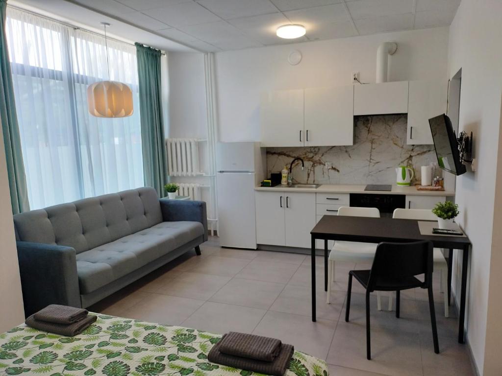 Kuchyňa alebo kuchynka v ubytovaní Apartamenty Częstochowa