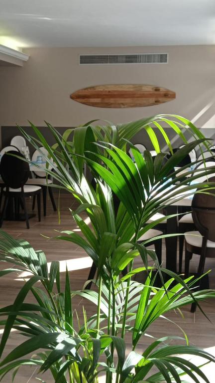 Fotografie z fotogalerie ubytování Summer Hotel v destinaci Calella