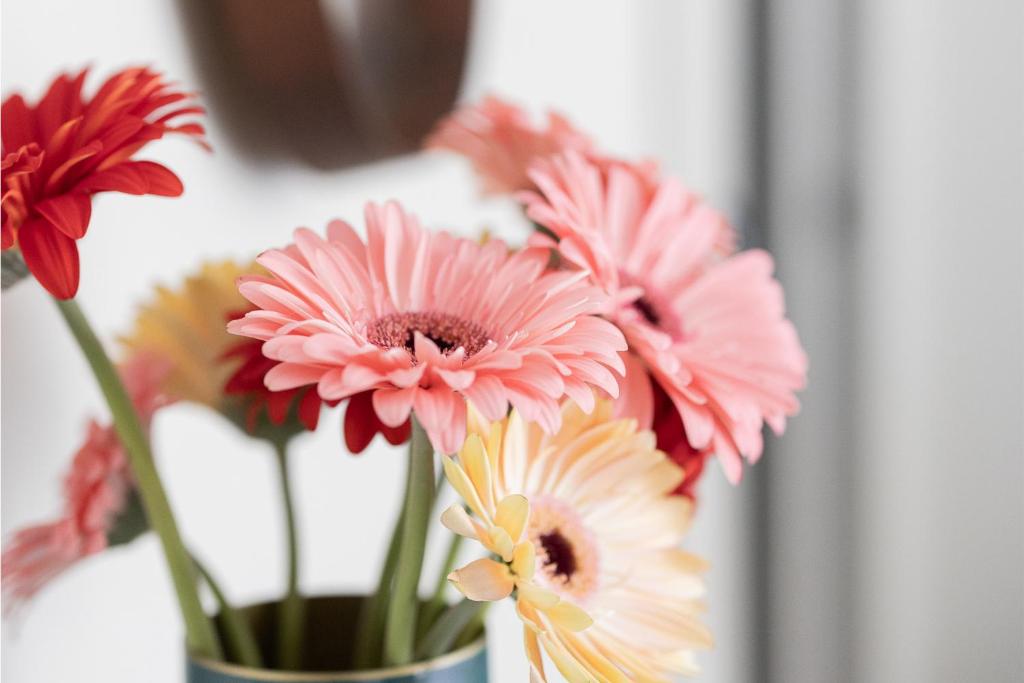 Porta Nera Private Living - adults only - Resim 19