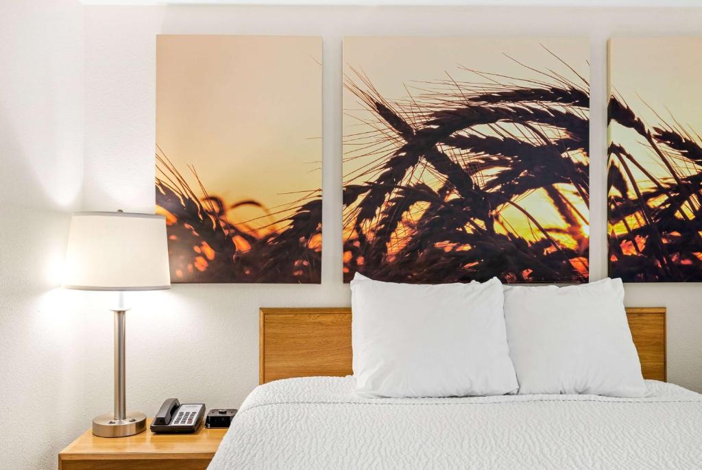 a bedroom with a bed with three paintings on the wall at Days Inn by Wyndham Great Falls in Great Falls
