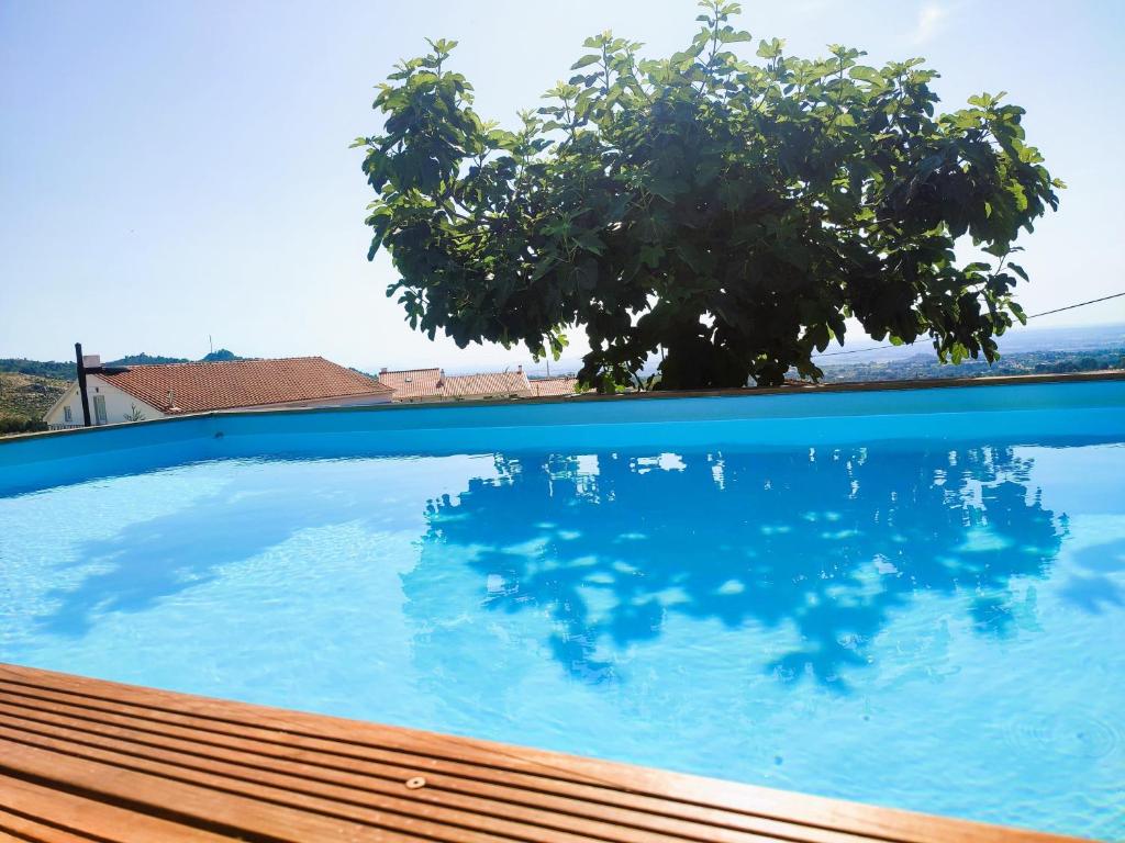 een zwembad met een boom op de achtergrond bij Lagarto Pintado Casa n'Aldeia in Castelo Novo