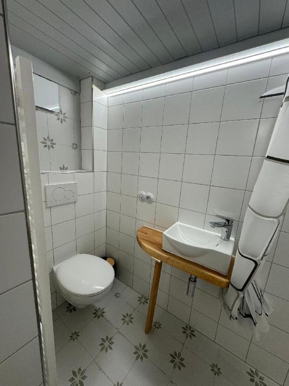 Koupelna v ubytování Samostatný dům se zahradou