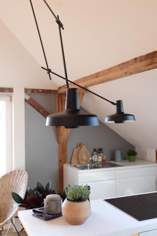 Design Apartments "Hier war Goethe nie" - 10