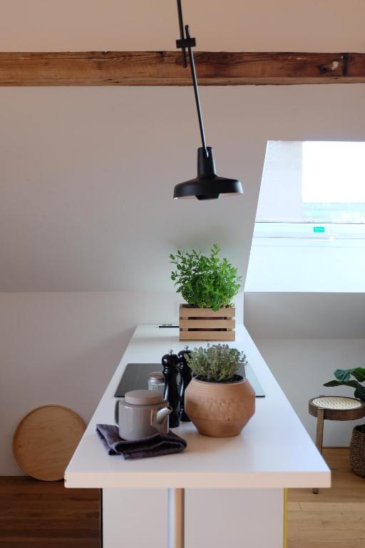 Design Apartments "Hier war Goethe nie" - 9