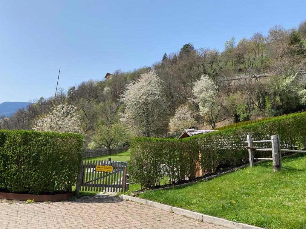 Příroda nedaleko hotelu
