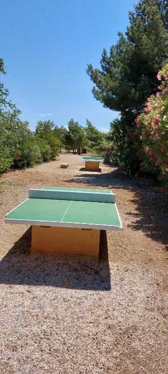 Tenis stołowy w obiekcie L'oasis de port Fitou lub pobliżu