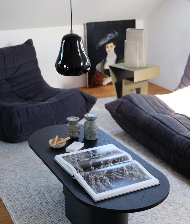 Design Apartments "Hier war Goethe nie" - 19