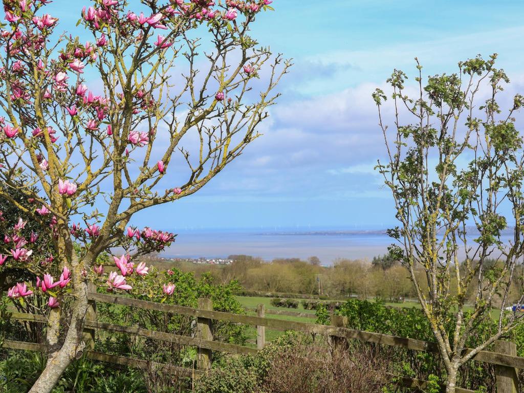 a fence with pink flowers and a view of the water at Dolphin Bach in Holywell