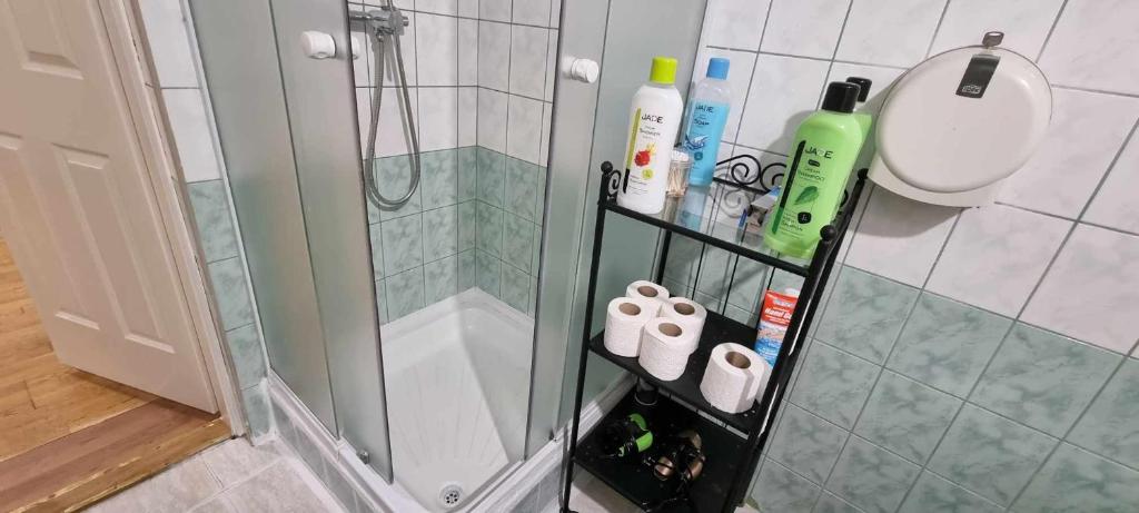 Koupelna v ubytování Universal Apartment Budapest
