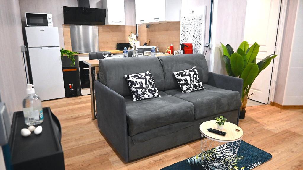 ein Wohnzimmer mit einem Sofa und einer Küche in der Unterkunft Studio/2 voyageurs/10mn CDG in Villeneuve-sous-Dammartin