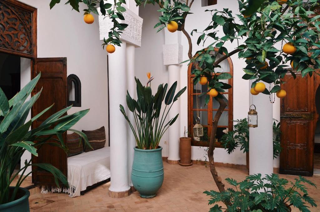 Fotografie z fotogalerie ubytování NOSADE Venue v Marrákéši
