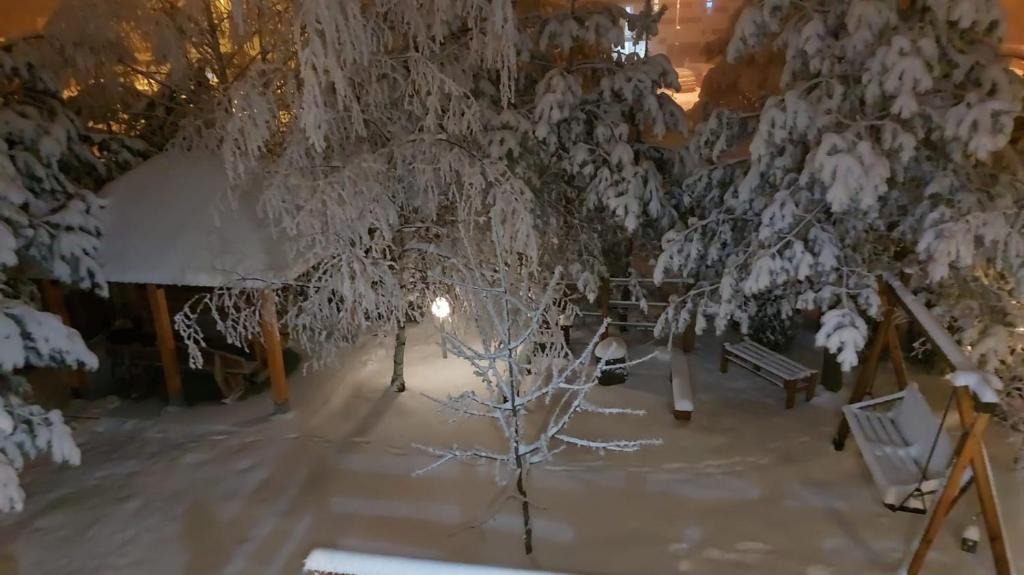 Apartmani MiM during the winter