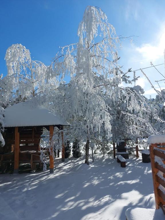 Apartmani MiM during the winter