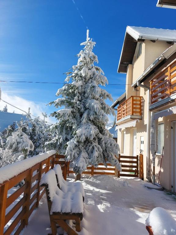 Apartmani MiM during the winter
