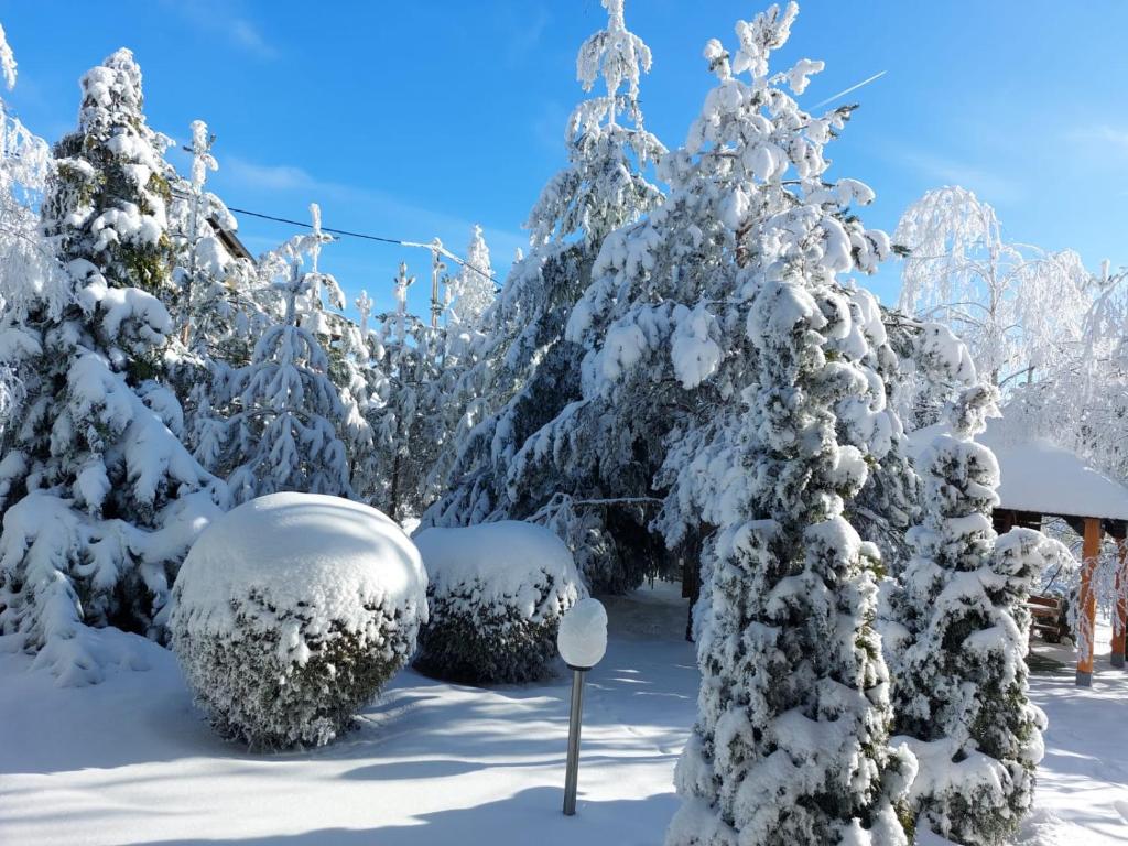Apartmani MiM during the winter