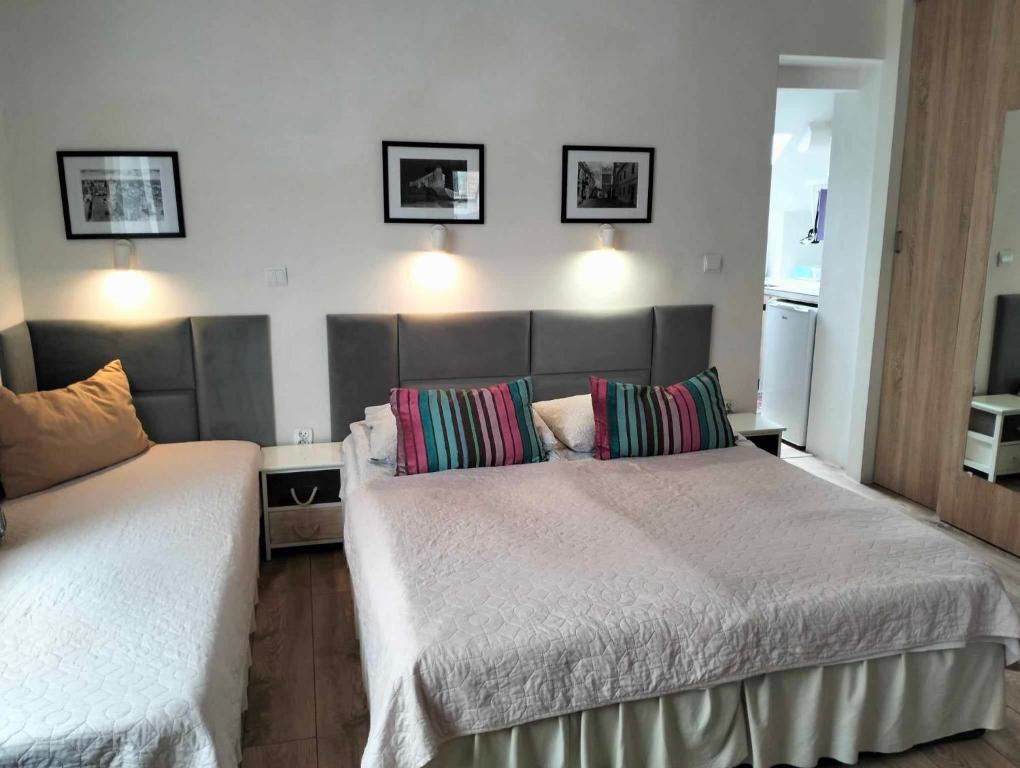 Zielone Wzgórze na Starówce - 17