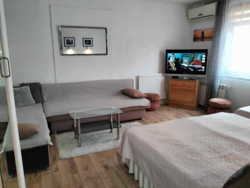 Zielone Wzgórze na Starówce - 16