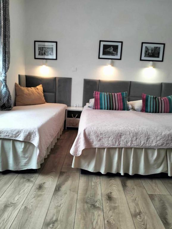 Zielone Wzgórze na Starówce - 19