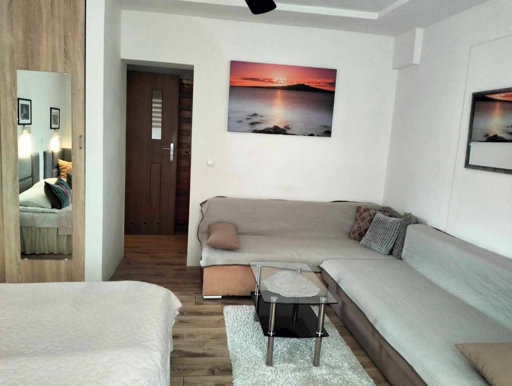 Zielone Wzgórze na Starówce - 13