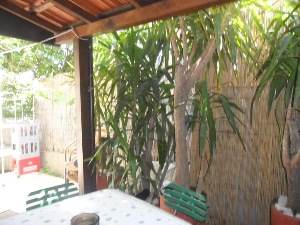 Zahrada ubytování Apartmani Yucca