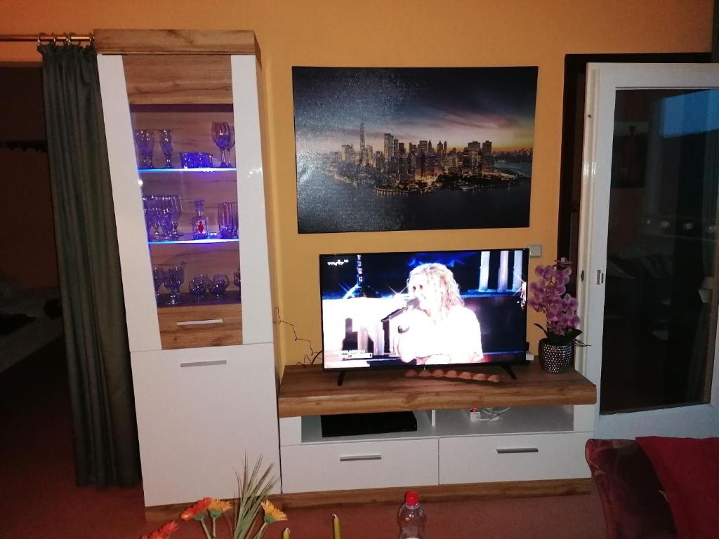 - une télévision dans le salon avec deux fenêtres dans l'établissement Wohnung in Hahnenklee mit Garten, à Goslar