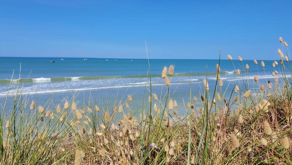 una playa de arena con el océano en el fondo en Maison de plage la grise brèche, en Pirou