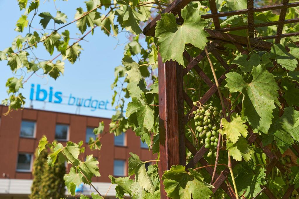 ibis budget Wroclaw Poludnie - Resim 44
