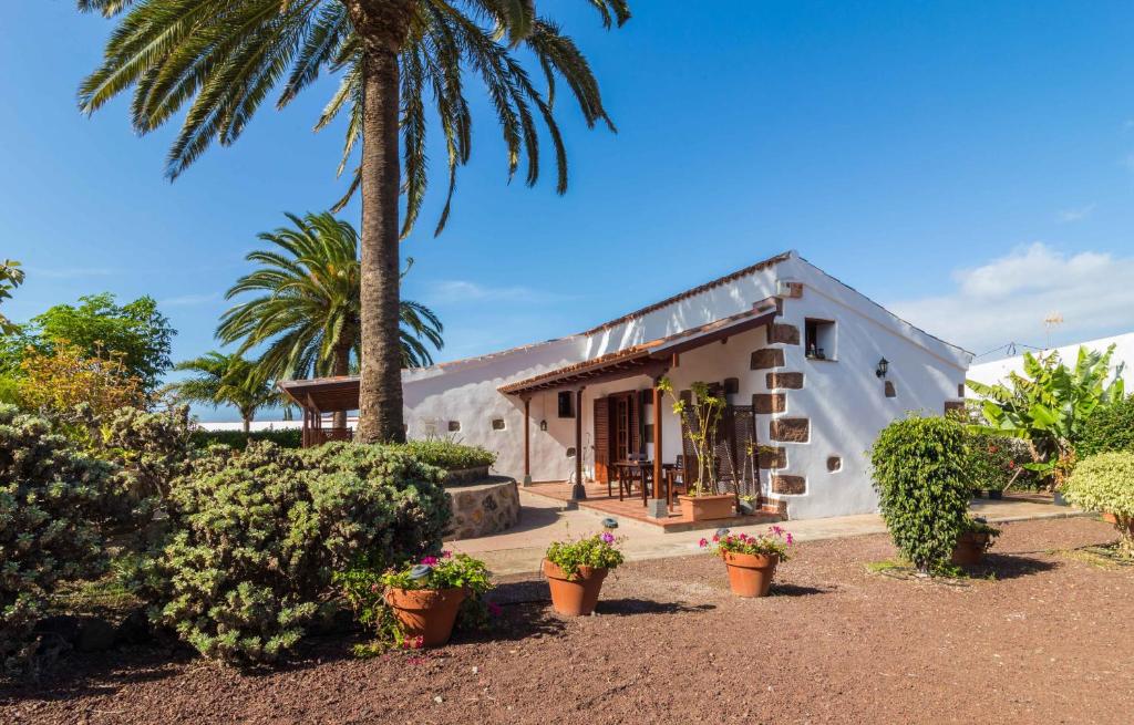 una casa con una palmera y plantas en Your Island Finca El Picacho A, en Tegueste