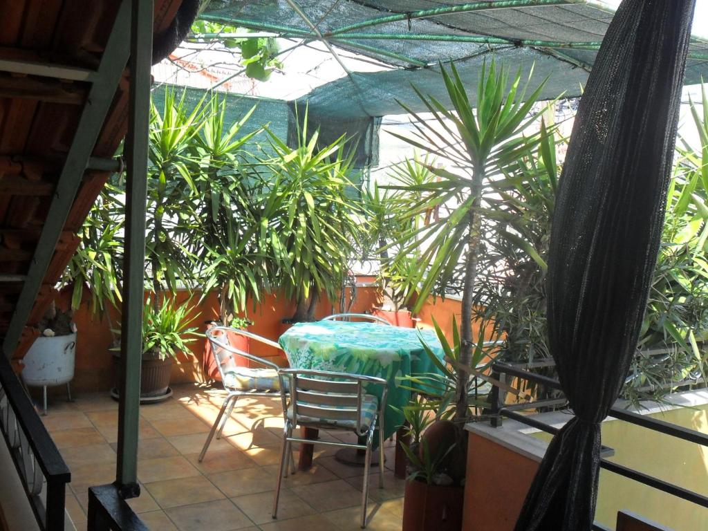 Zahrada ubytování Apartmani Yucca