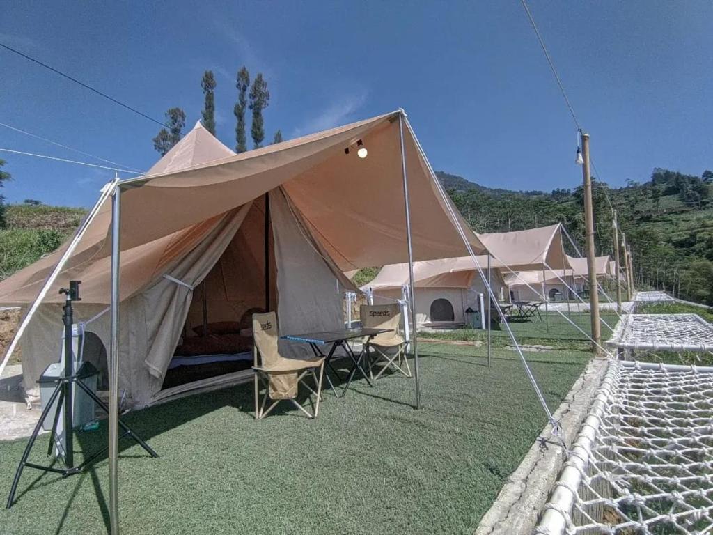 Příroda nedaleko luxury tent