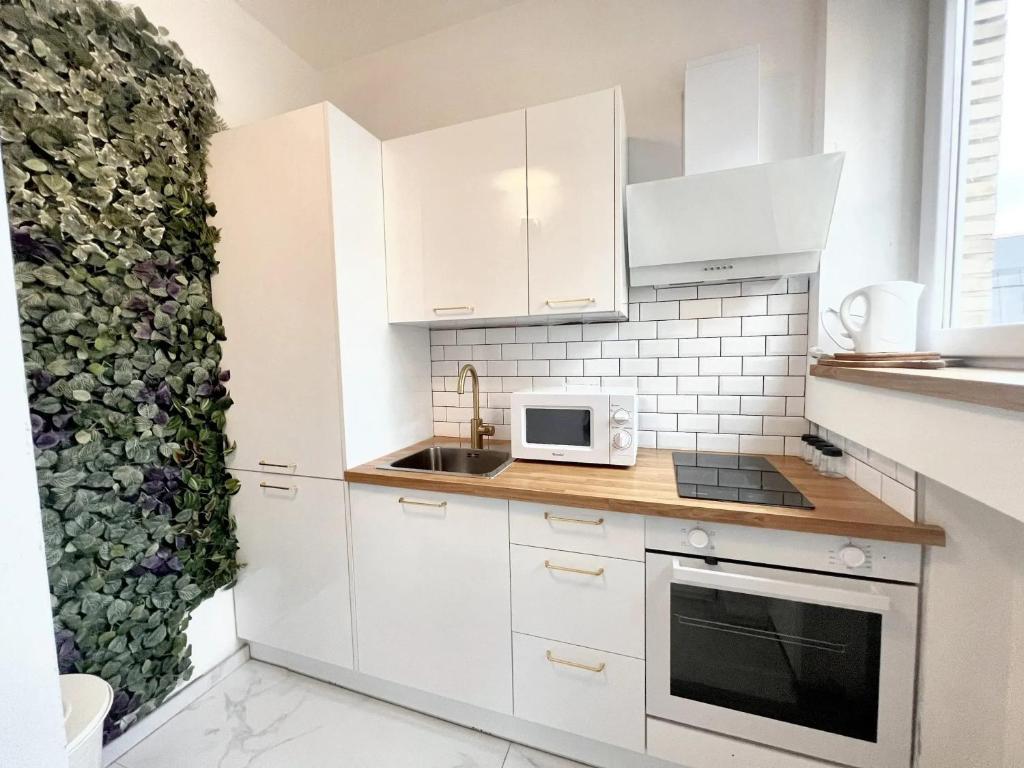 a kitchen with white cabinets and a green wall at Studio with wifi at Bruxelles in Brussels