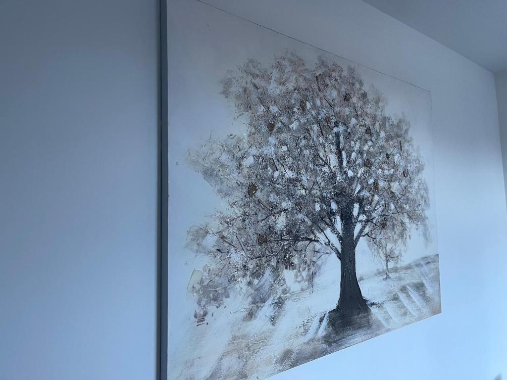 Fotografie z fotogalerie ubytování Les Appartements du Cep’t v destinaci Mazamet