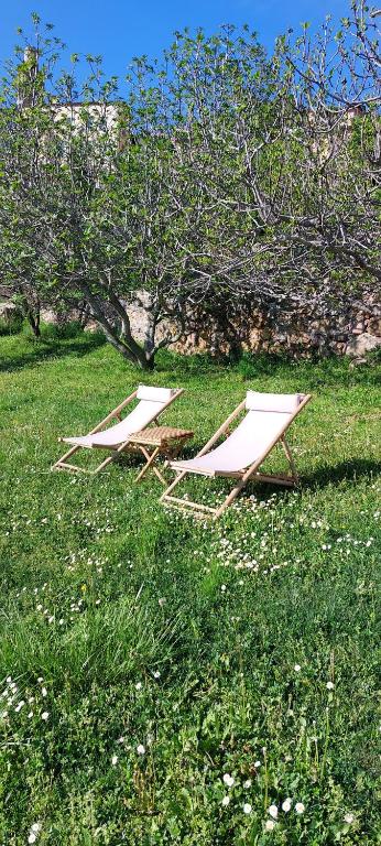 two picnic tables in the grass in a field at Le Serre in Belvédère