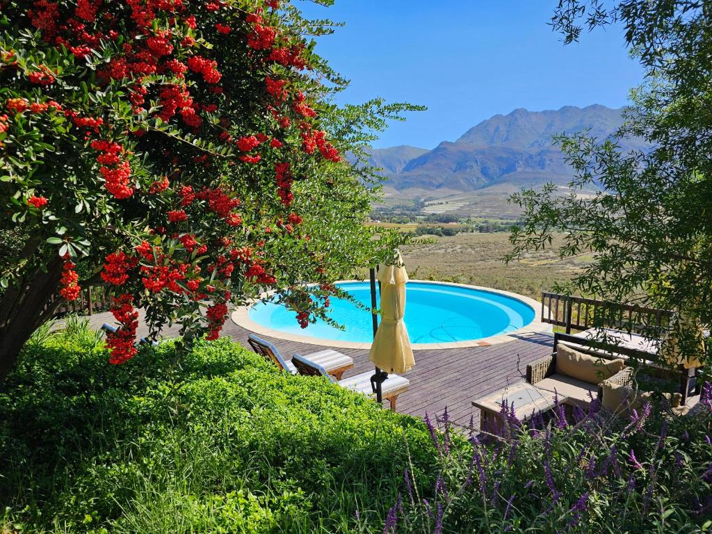 a swimming pool with a umbrella and a tree with flowers at Valley View Eco Country Estate - Paradise in the Winelands in Villiersdorp