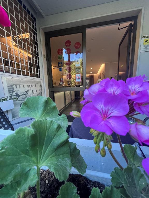 Zahrada ubytování Hotel La Torraccia
