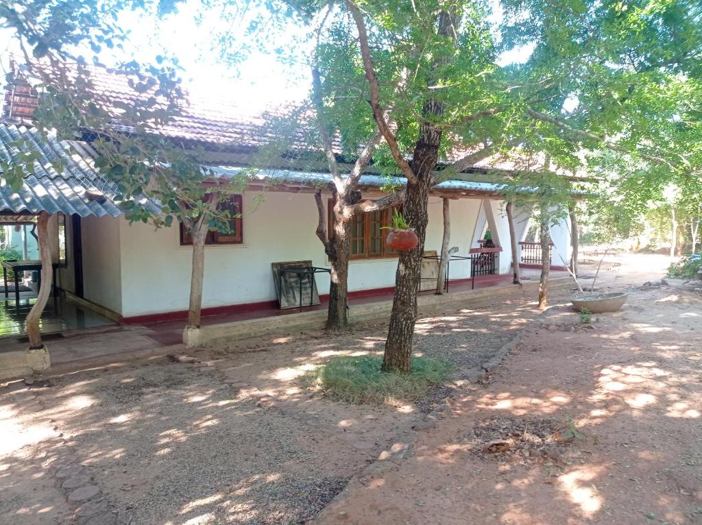 a house with a tree in front of it at Bundala Resort in Tissamaharama