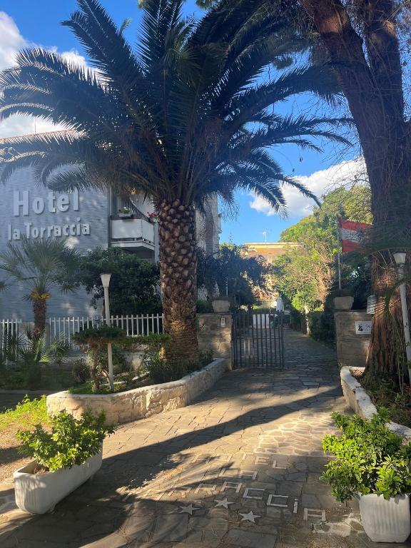 Zahrada ubytování Hotel La Torraccia