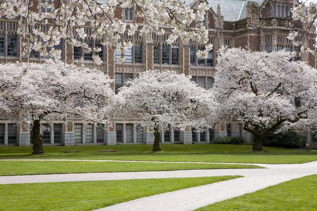 Zahrada ubytování Silver Cloud Hotel - Seattle University of Washington District