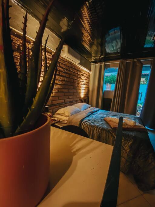 a bedroom with a bed and a potted plant at Blue in Igrejinha