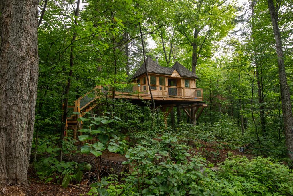 Zahrada ubytování Les Refuges Perchés Mont-Tremblant