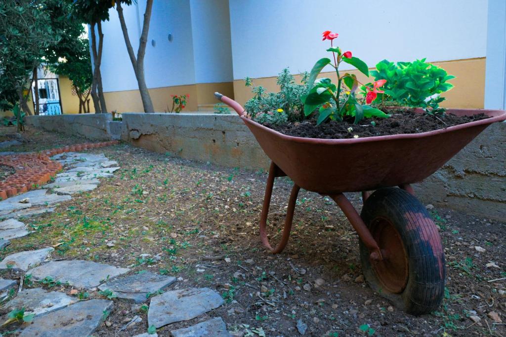 Zahrada ubytování B&B Aurora