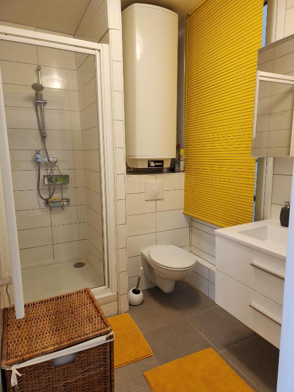 a bathroom with a toilet and a shower and a sink at Rue François Miron in Paris